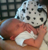 /album/galeria-de-fotos/captura%20de%20tela%202011-10-21%20%c3%a0s%2010-53-22-png/